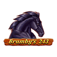 Brumby’s 243