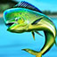 Golden Hook Green Fish